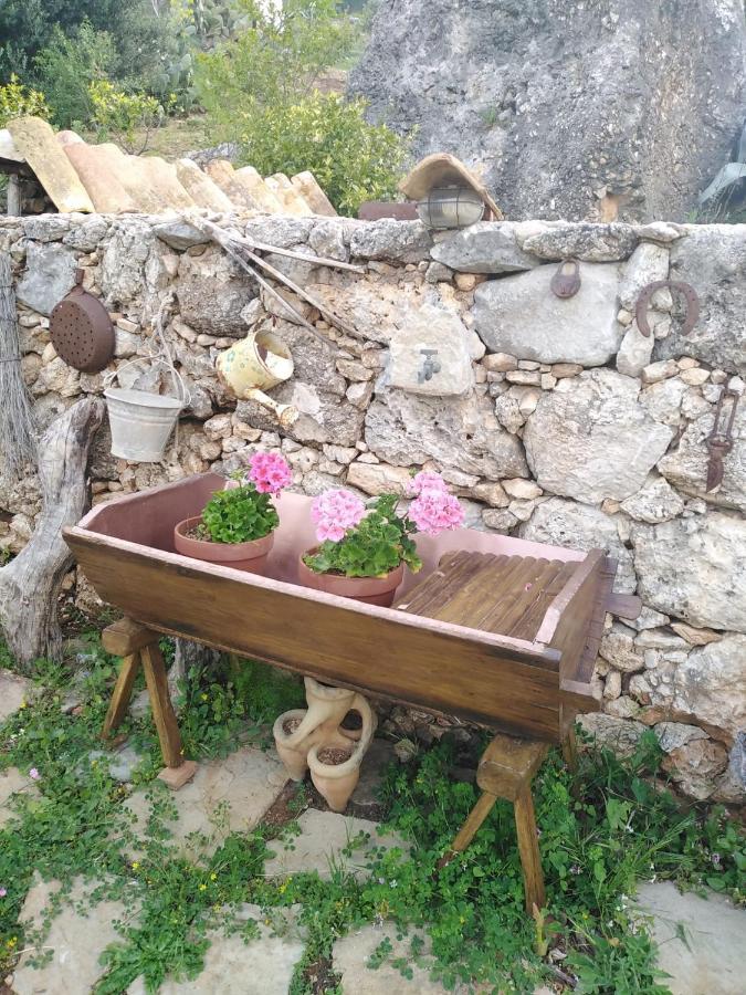 Il Corbezzolo Suite Appartament Castelluzzo Eksteriør bilde